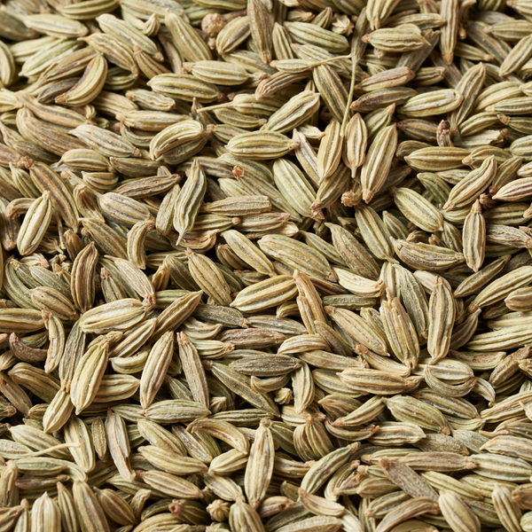 FENNEL